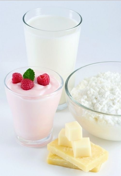食用浓缩乳清蛋白粉 功能特性与应用
